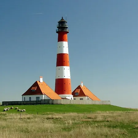 Schaeferhof Dircks 1 아파트 *