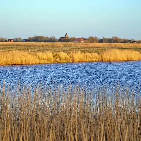 Schaeferhof Dircks 1 Westerhever