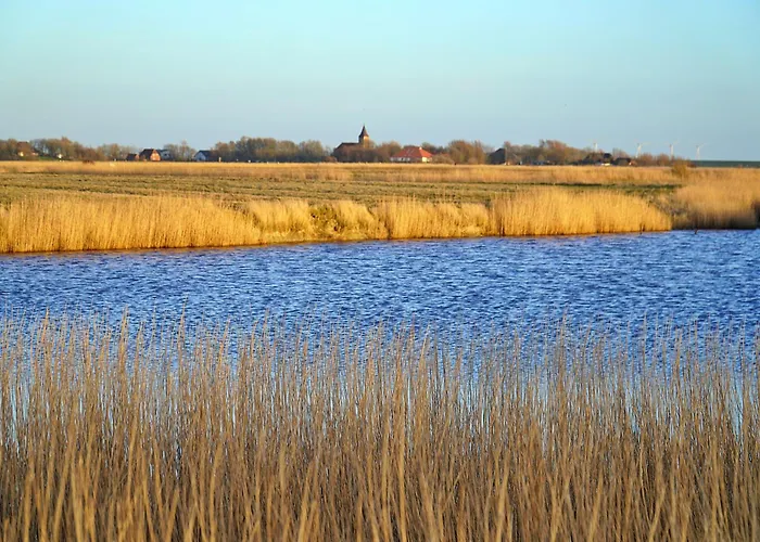 Appartamento Schaeferhof Dircks 1 *