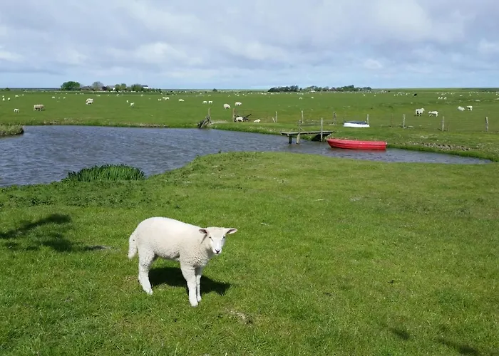 Appartamento Schaeferhof Dircks 1 *