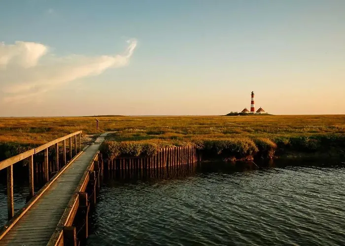 Schaeferhof Dircks 1 *